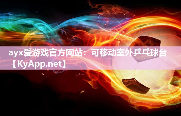 可移动室外乒乓球台